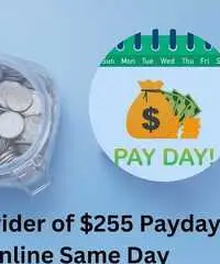 Fast Processing for $255 Payday Loans Online Same Day