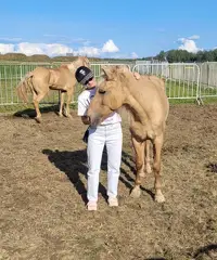 Cerco qualcuno da incontrare! - 2